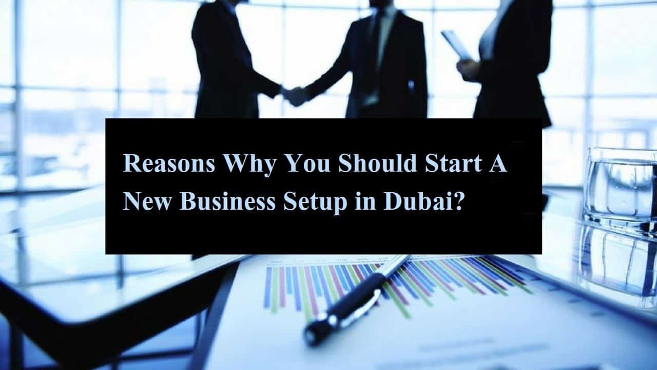 Reasons Why You Should Start A New Business Setup in Dubai?