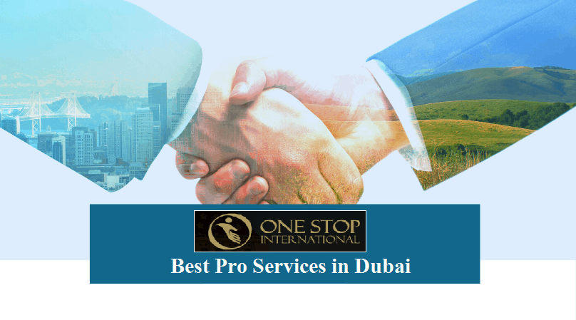 Pro Service in Dubai