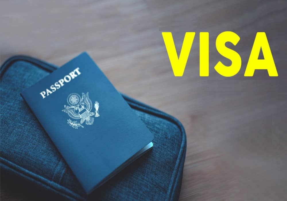 Why You Should Consult A Professional Team For Visa Services